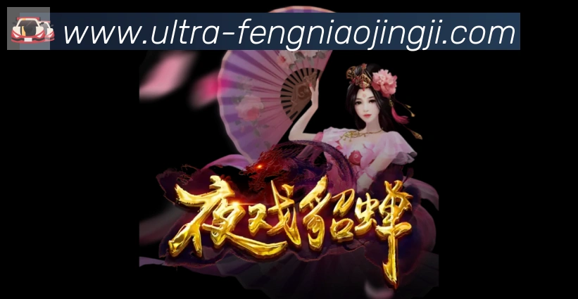 奖项证书